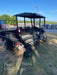 2022 Club Car CA1700D Canopy, Diesel, 4 Passenger
