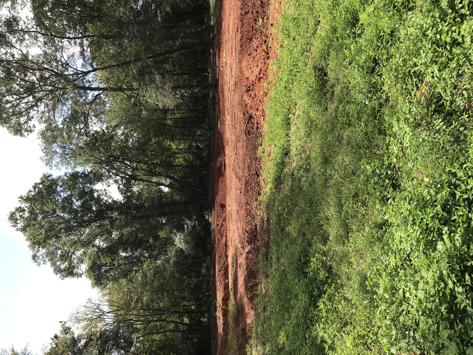 2020 JOHN DEERE 310LEP