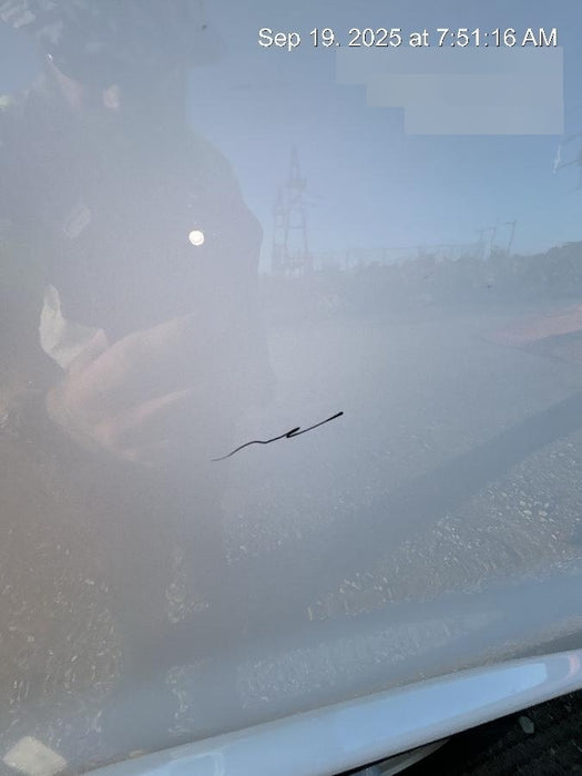 2023 CHEVROLET Express Van - Rental