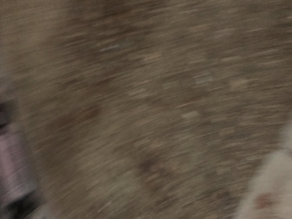 2019 Skyjack SJIII-3219 Standard w/Trojan Batteries