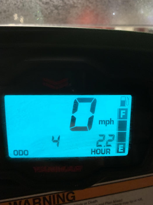 2020 YANMAR LONGHORN, 4-6 Seater