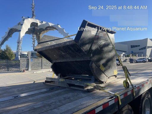 2020 ARROW MATERIAL HANDLING HP-6000-250