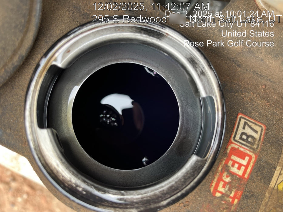 2024 WACKER NEUSON DPU6555Heh