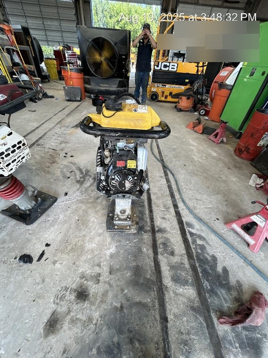 2025 WACKER NEUSON BS62-4Ab/28