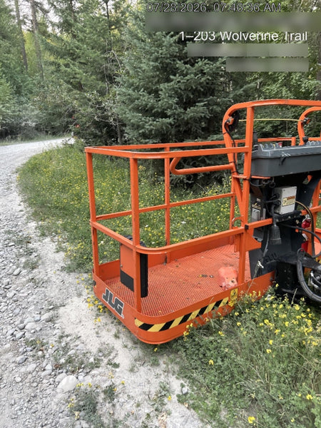 2019 JLG 460SJ