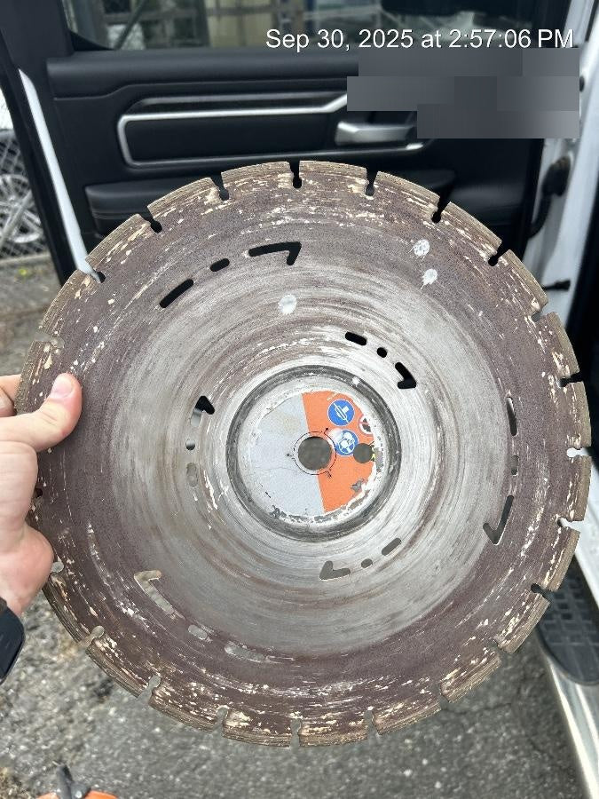 2020 STIHL TS420