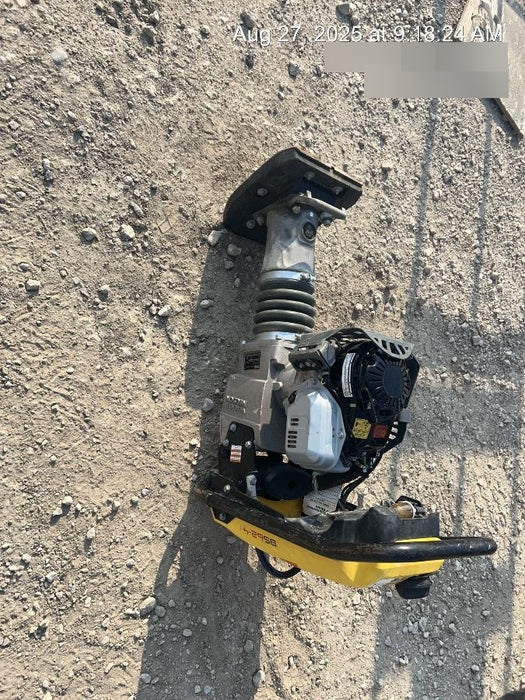 2025 WACKER NEUSON BS62-4Ab/28