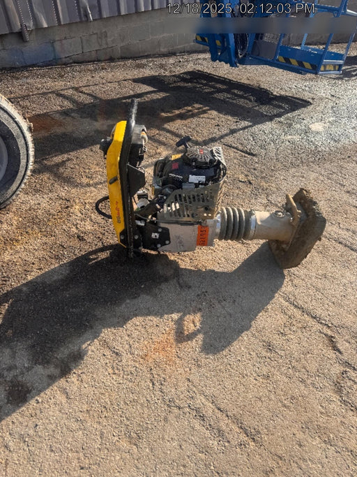 2025 WACKER NEUSON BS62-4Ab/28