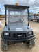 2021 CLUB CAR CA1700D (Canopy)