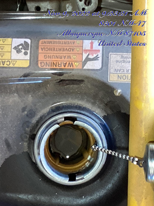 2020 WACKER NEUSON PT2A