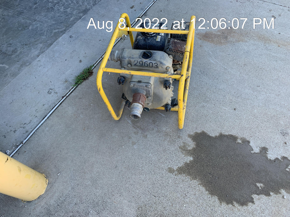 2019 WACKER NEUSON PT2