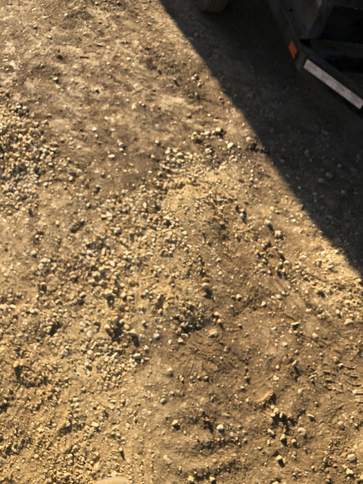 2017 WACKER NEUSON G25