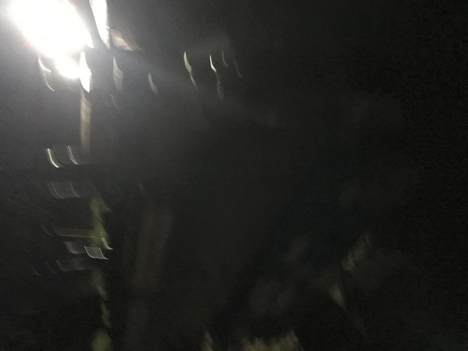 2020 Genie GS-1930 Fixed rails with chain entry gate - Pre A92.20