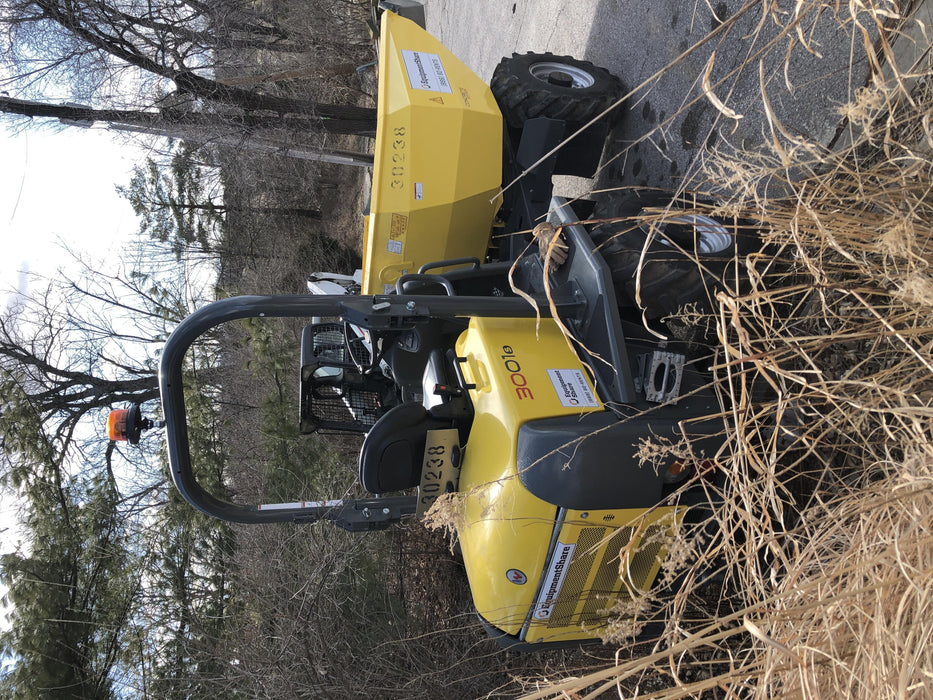 2019 WACKER NEUSON 3001