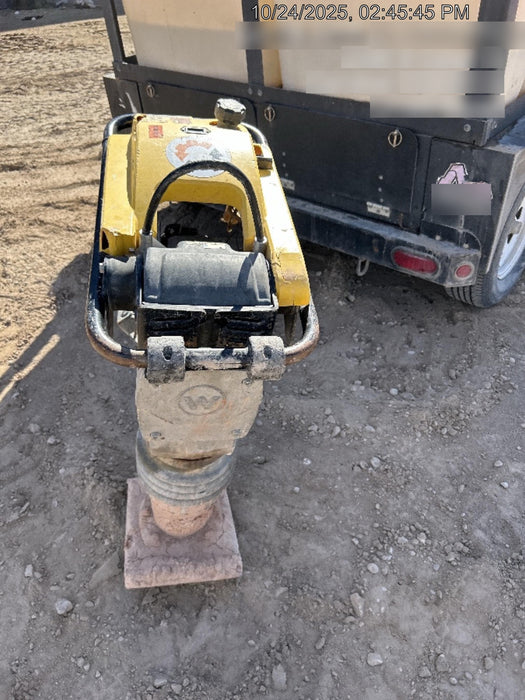 2021 WACKER NEUSON BS60-4As
