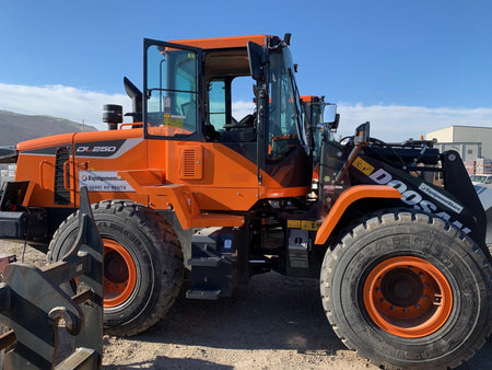 2020 DOOSAN DL250-5