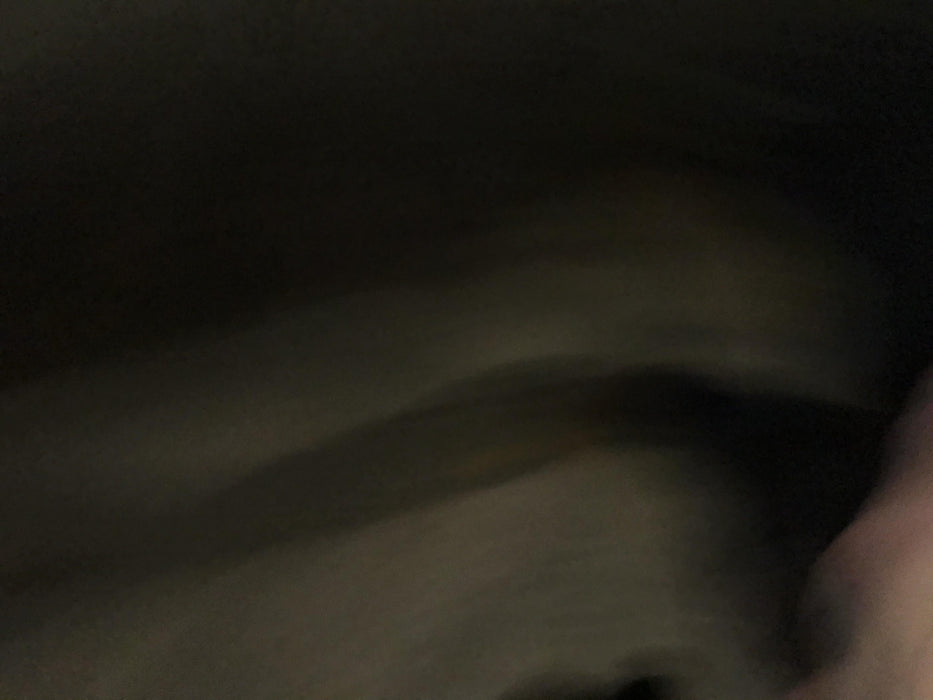 2020 Genie GS-1930 Standard Machine