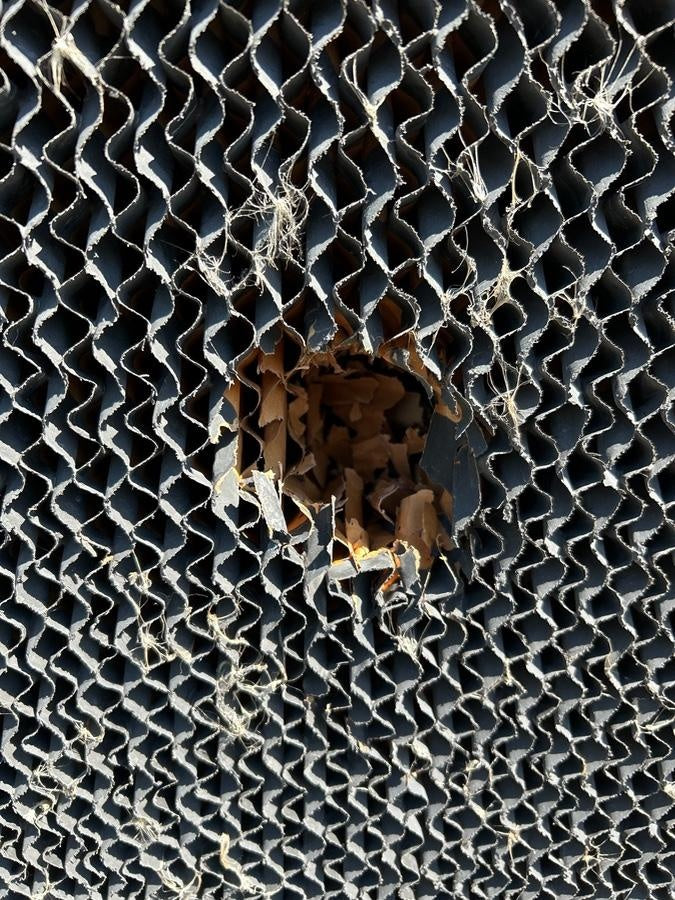 2025 BIG ASS FANS Cool Space 400