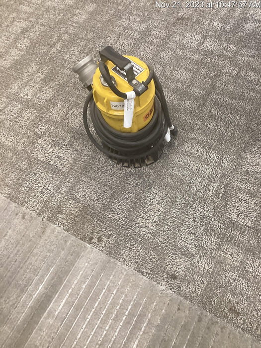 2020 WACKER NEUSON PST2