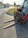 2022 PALADIN 48" Pallet Forks - Paladin