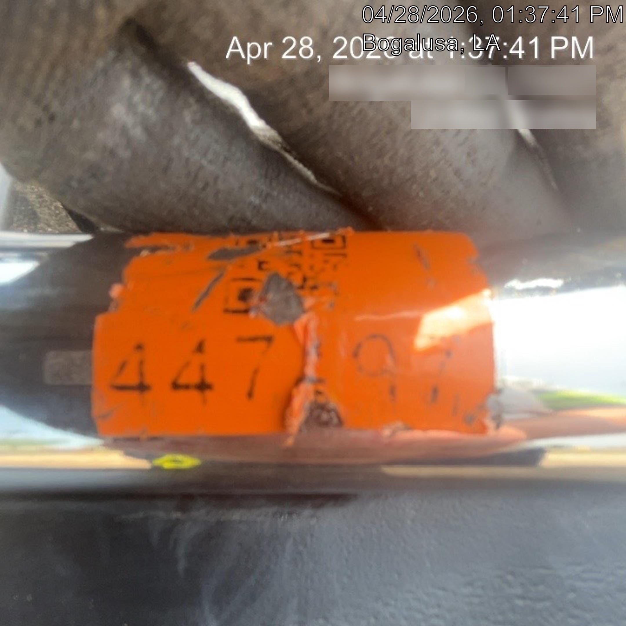 2024 WRIGHT 6448