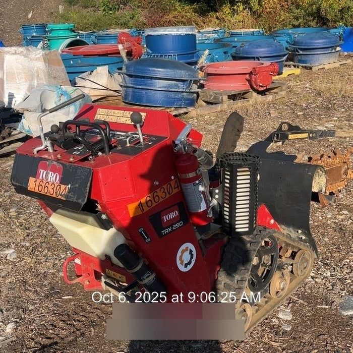 2021 TORO TRX-250