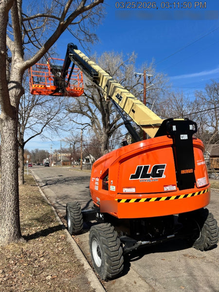2025 JLG 460SJ