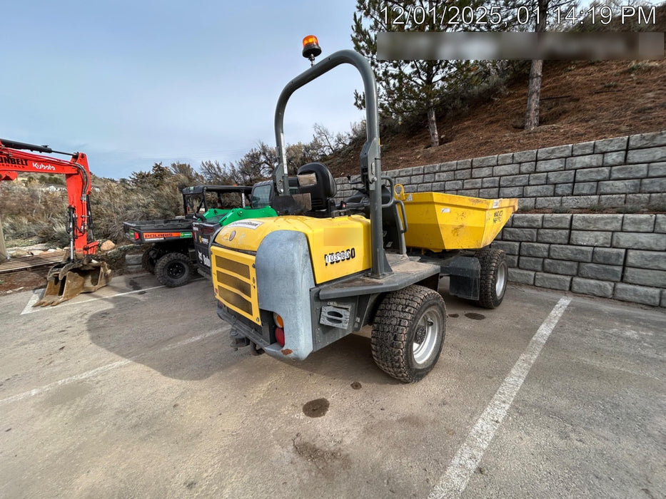 2020 WACKER NEUSON 3001