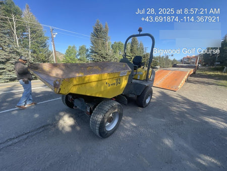 2020 WACKER NEUSON 3001