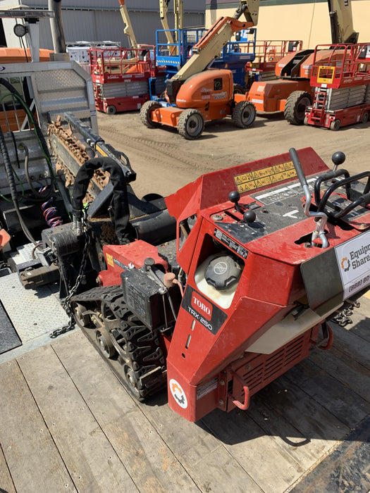 2022 TORO TRX-250