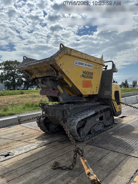 2019 WACKER NEUSON DT10