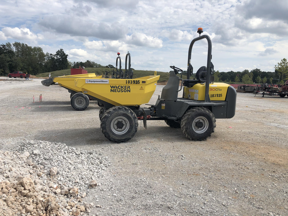 2020 WACKER NEUSON 3001