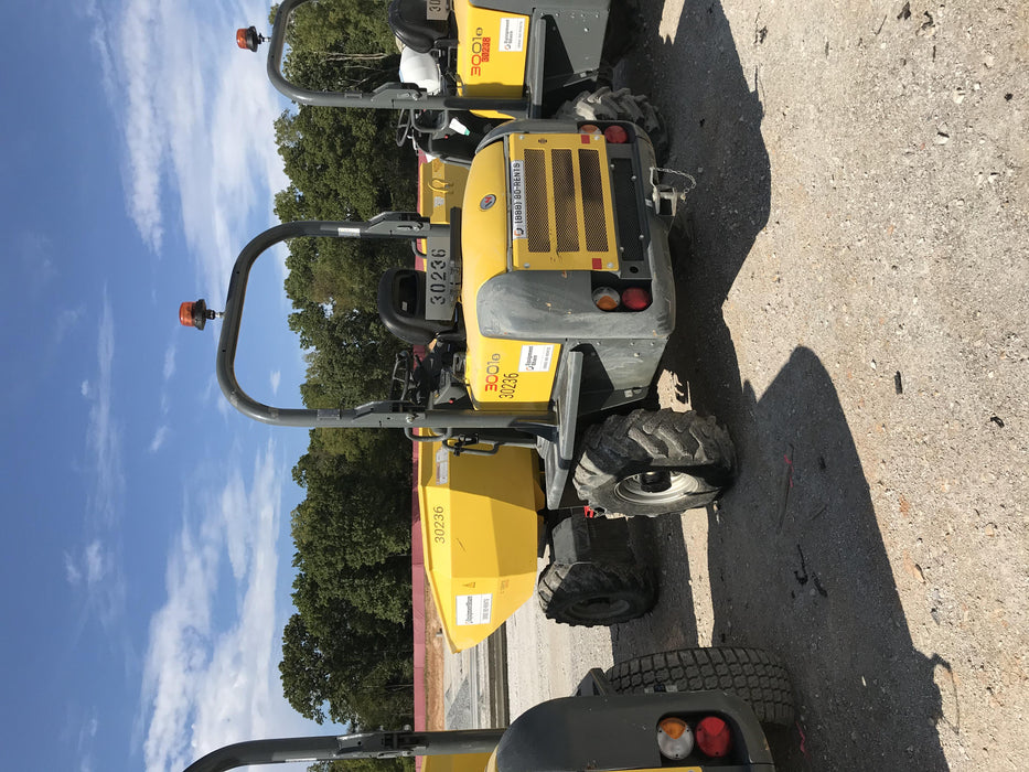 2019 WACKER NEUSON 3001