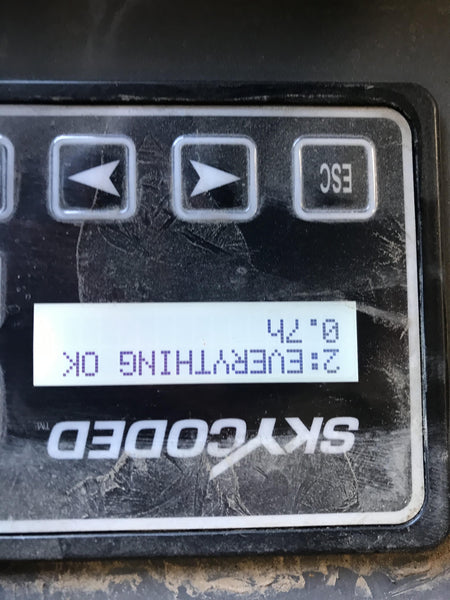 2021 SKYJACK SJ4732