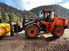 2021 DOOSAN DL300-5