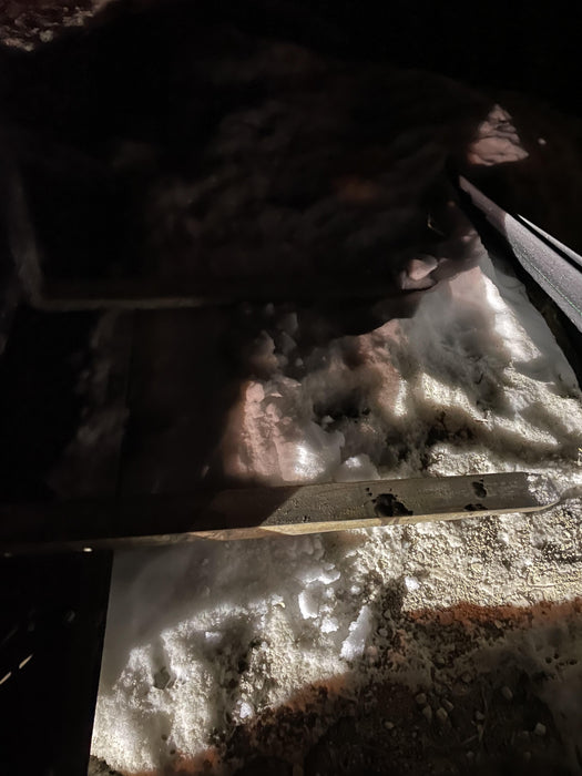 2022 PALADIN 48" Pallet Forks - Paladin