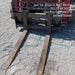 2022 PALADIN 48" Pallet Forks - Paladin