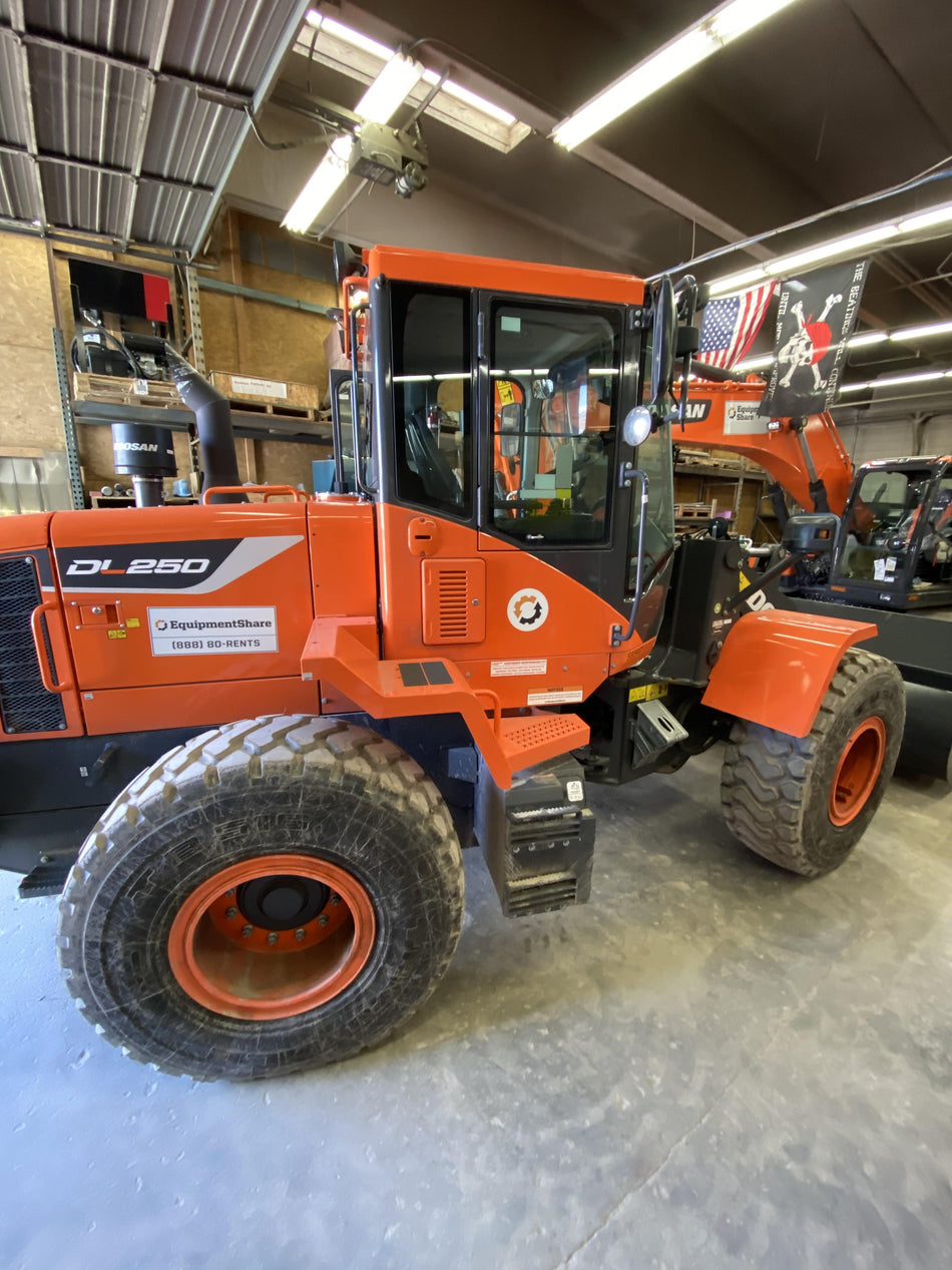 2019 DOOSAN DL250-5