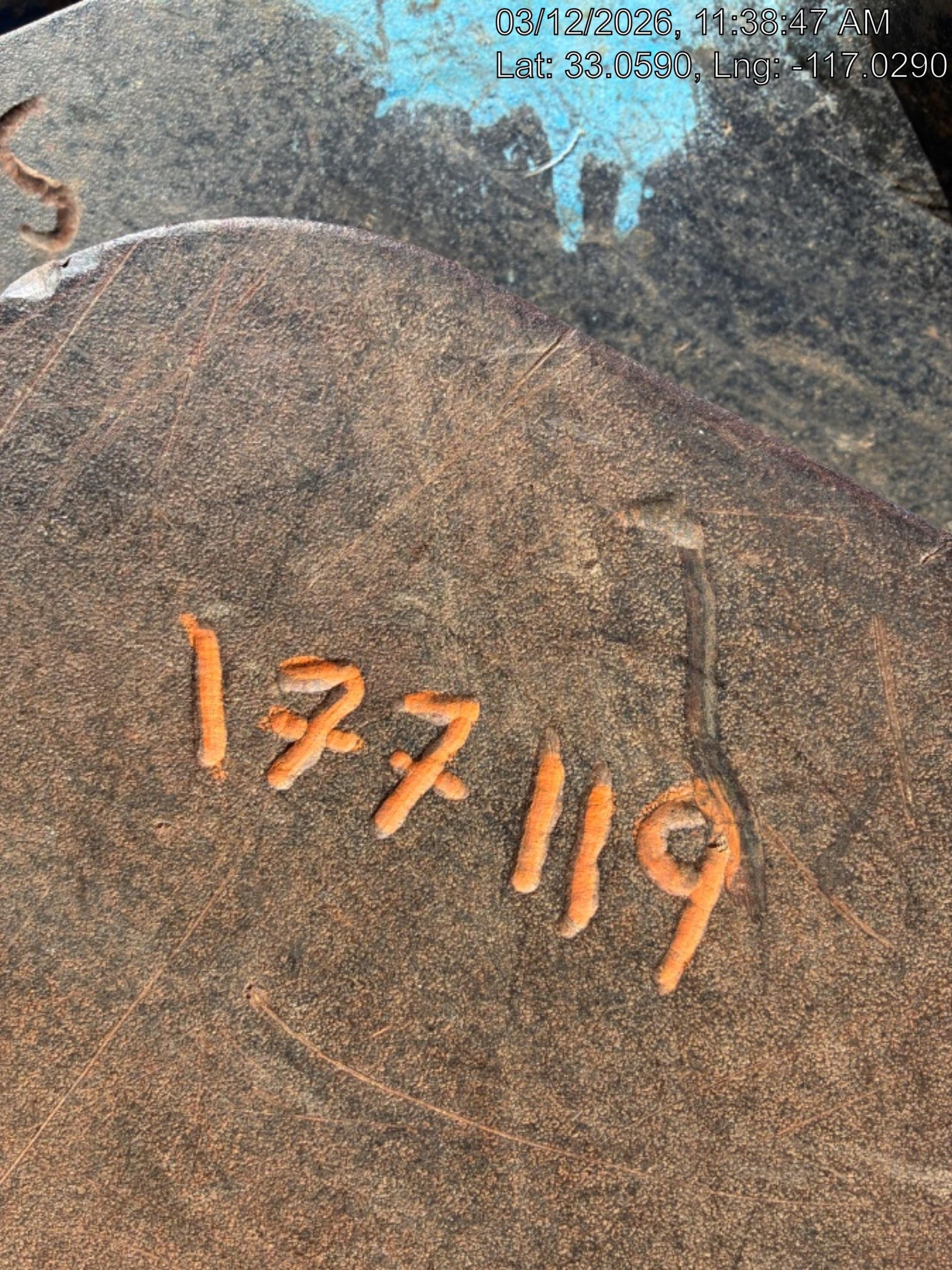 2019 SANY SY215