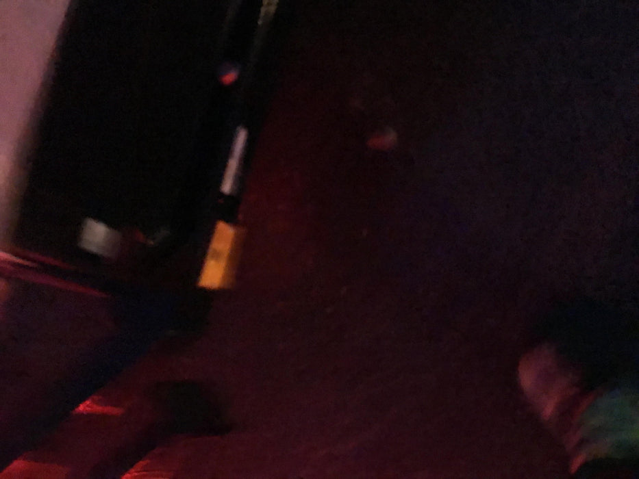 2019 WACKER NEUSON G25