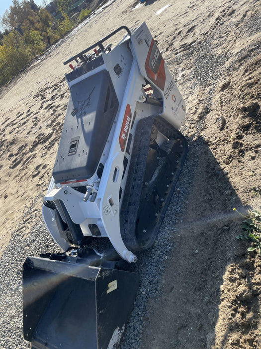 2022 BOBCAT MT100