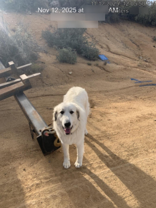 2020 STAR INDUSTRIES 1160B