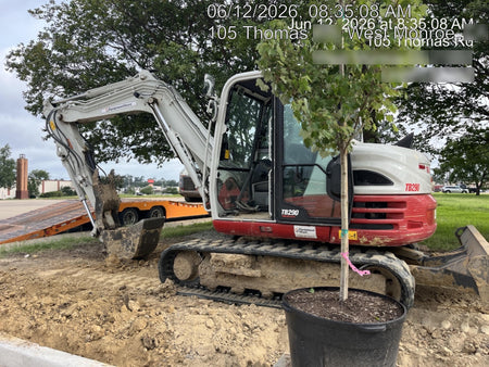 2024 TAKEUCHI TB290-CR