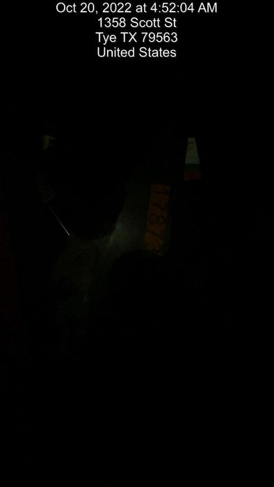 2021 PALADIN 48" Pallet Forks - Paladin