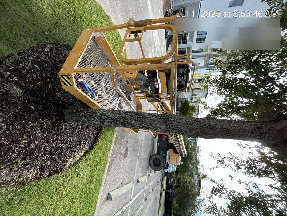 2022 HAULOTTE HT67 RTJ O