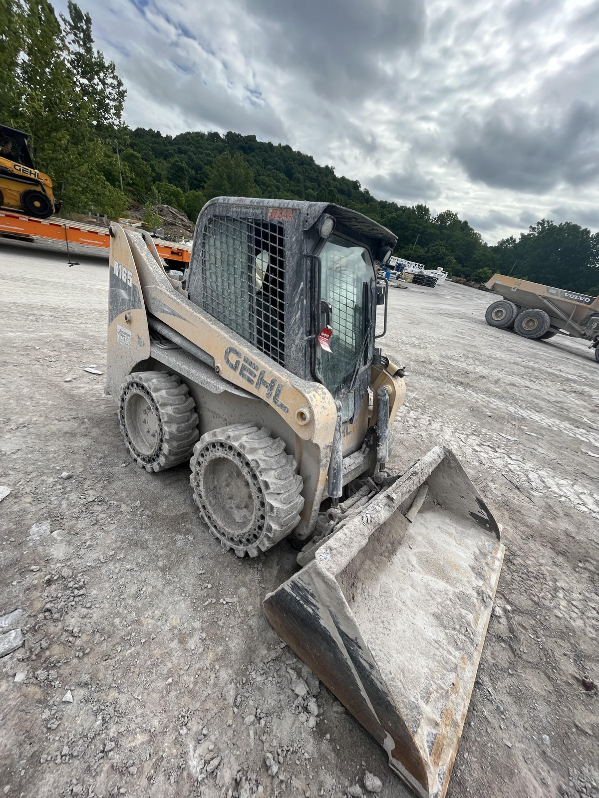 2016 GEHL R165