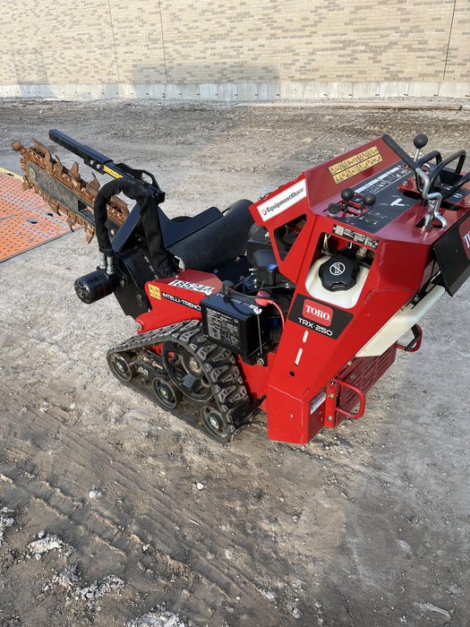 2021 TORO TRX-250
