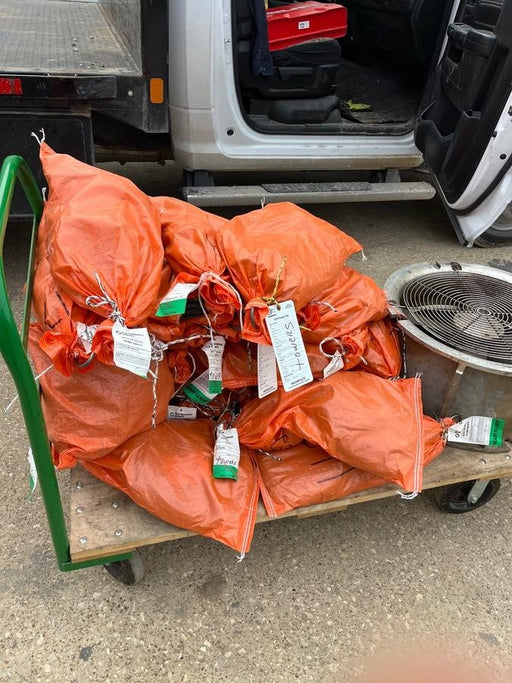 2021 WORKSITE LIGHTING DWXPLEDIL50-12V