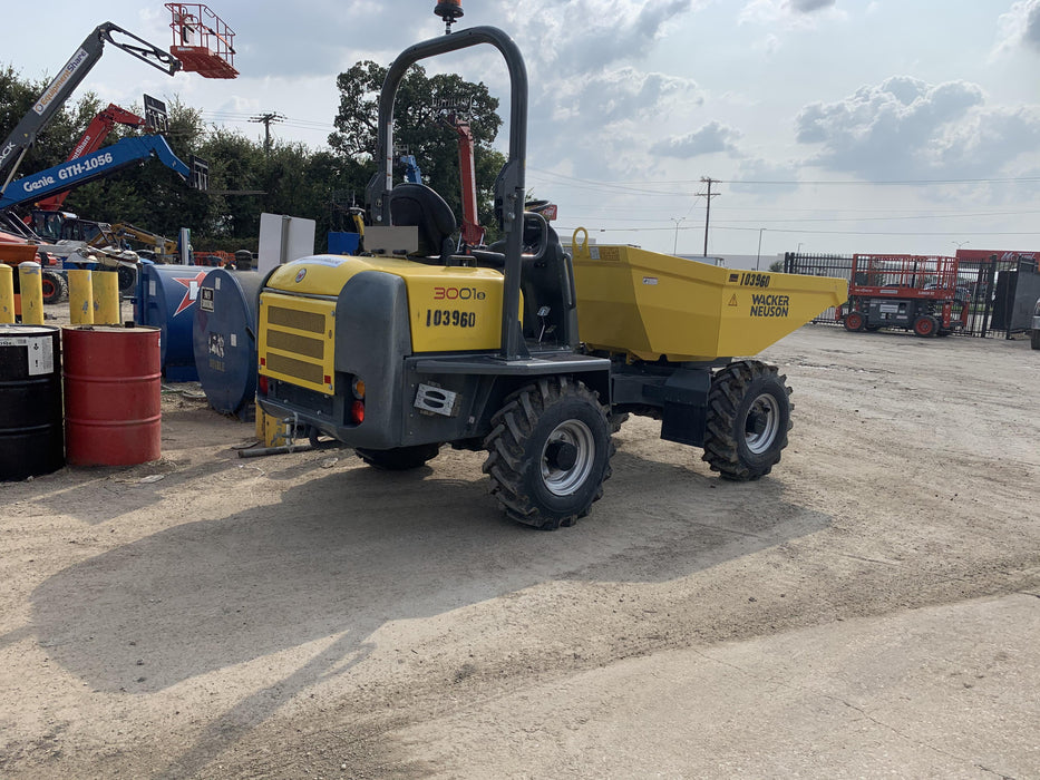 2020 WACKER NEUSON 3001