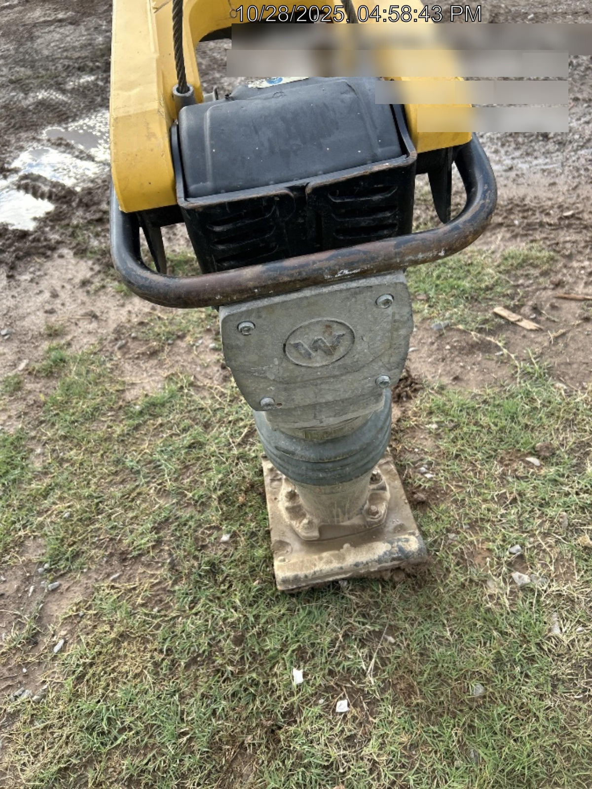 2020 WACKER NEUSON BS60-4As
